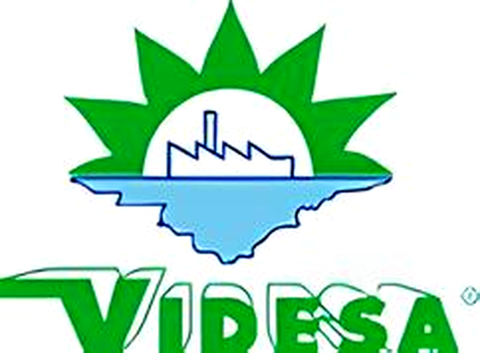 Videsa